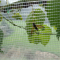 Invernadero plástico PP PE Anti Insectos / Bird Net